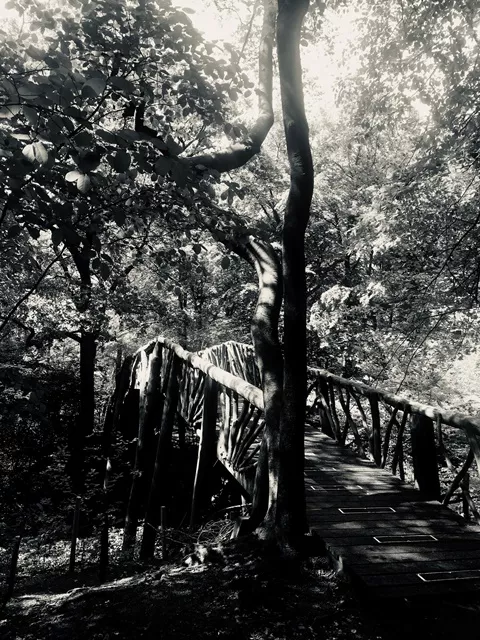 Driebergen Zwitserse Brug 4