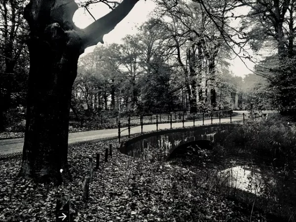 Leersum Parc Broekhuizen Brug