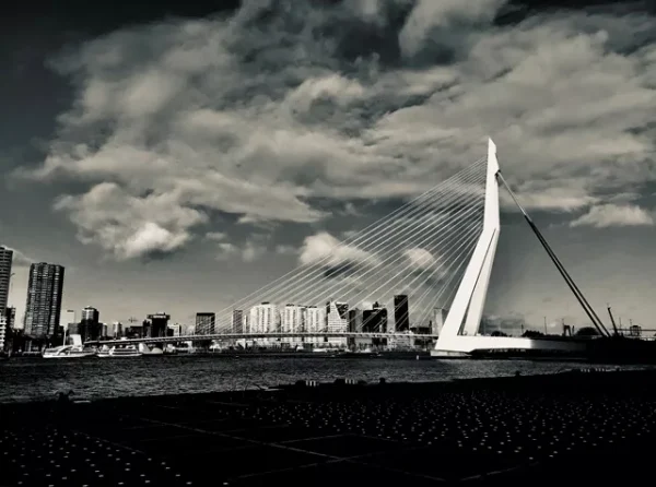 Rotterdam Erasmusbrug 3