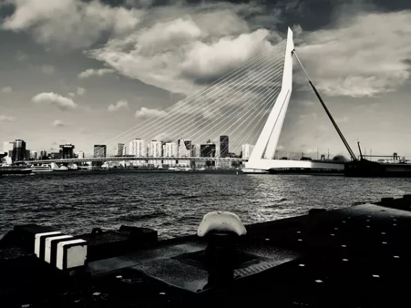 Rotterdam Erasmusbrug 6