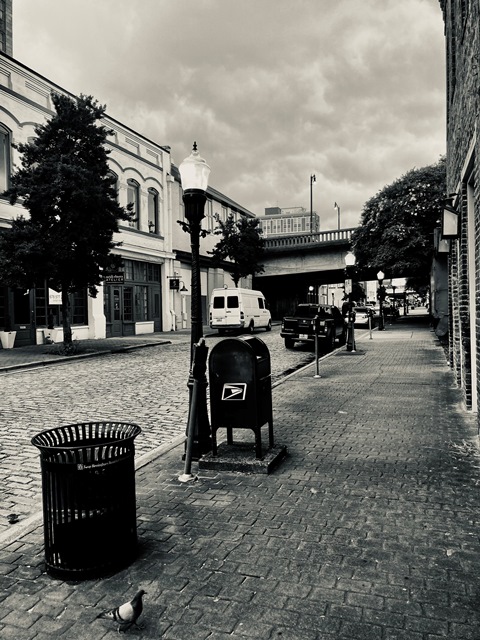 Birmingham AL 2024 Morris Avenue 5