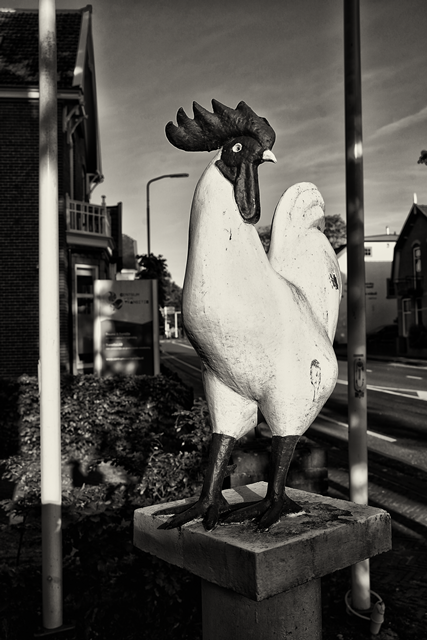 Doorn Haan bij Politie