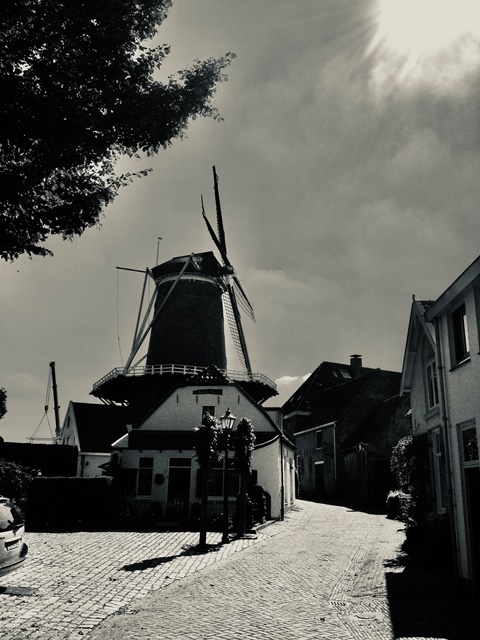 Wijk bij Duurstede Walplantsoen