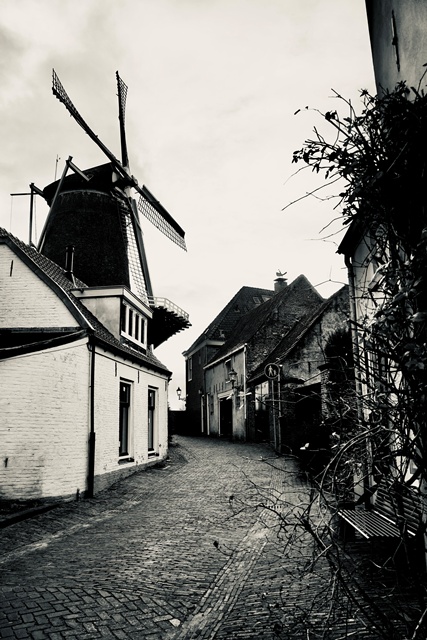 Wijk bij Duurstede Walplantsoen 8